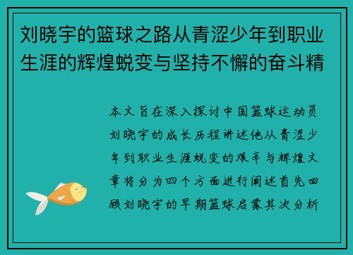 刘晓宇的篮球之路从青涩少年到职业生涯的辉煌蜕变与坚持不懈的奋斗精神